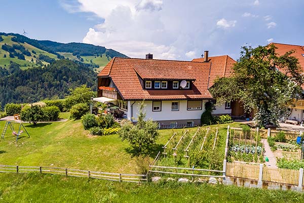 Ausblick über den Hof mit herrlichem Bauerngarten