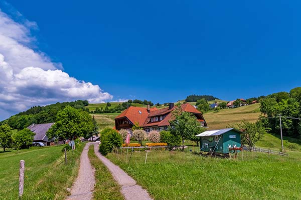 Unser Hühnerhäuschen