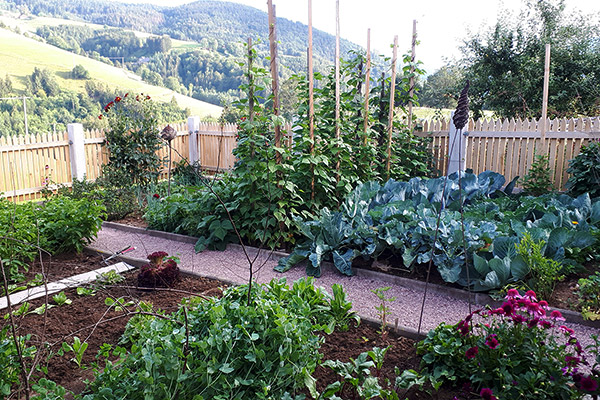 Der liebevoll gepflegte Bauerngarten