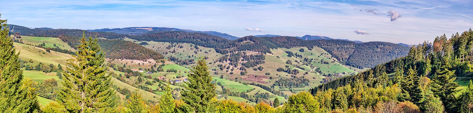 Schwarzwaldpanorama