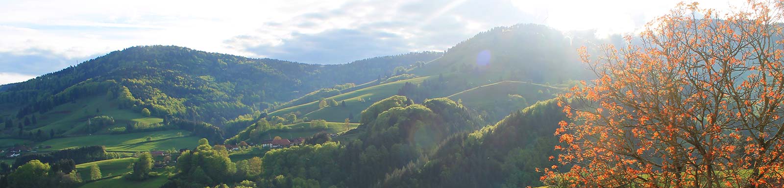 Schwarzwaldpanorama