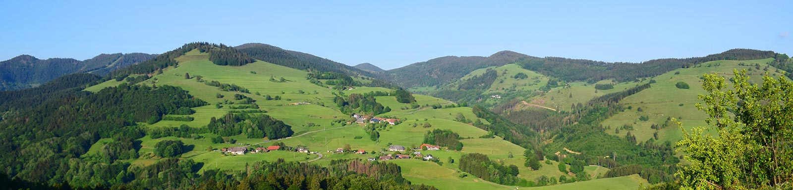 Schwarzwaldpanorama