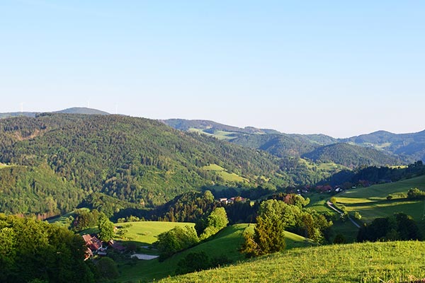 Schwarzwaldpanorama