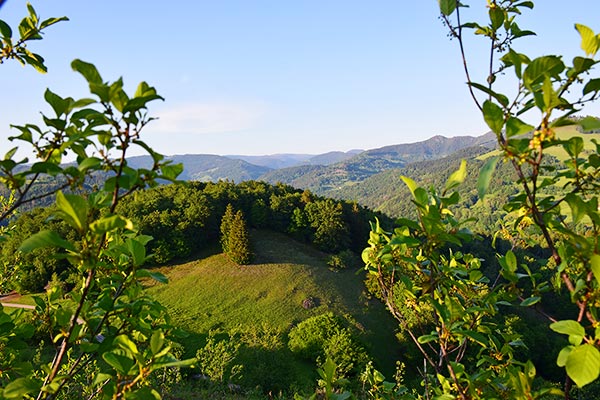 Schwarzwaldpanorama