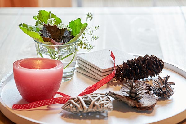 Herzlich willkommen in der Wohnung Frühlingserwachen